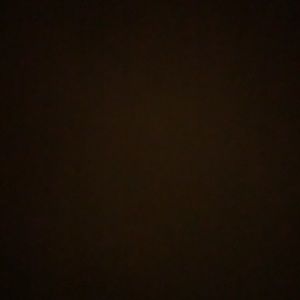 Meet your Posher, Abbey